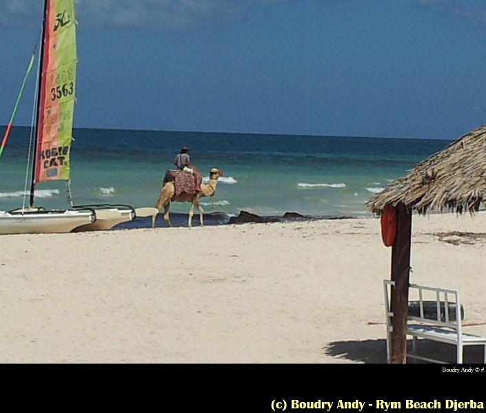 Boudry Andy - Rym Beach Djerba - Tunisie -034.jpg